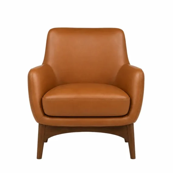 Fabric Upholstered Cozy Luxury Lounge Accent Chairs AC-LC-001